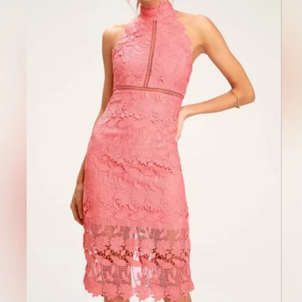 Bardot Lace Dress - NEW WITH TAGS! Size 6